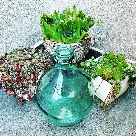 Apartment Natalia Valbandon エクステリア 写真
